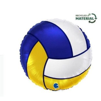 STD Bola Volley