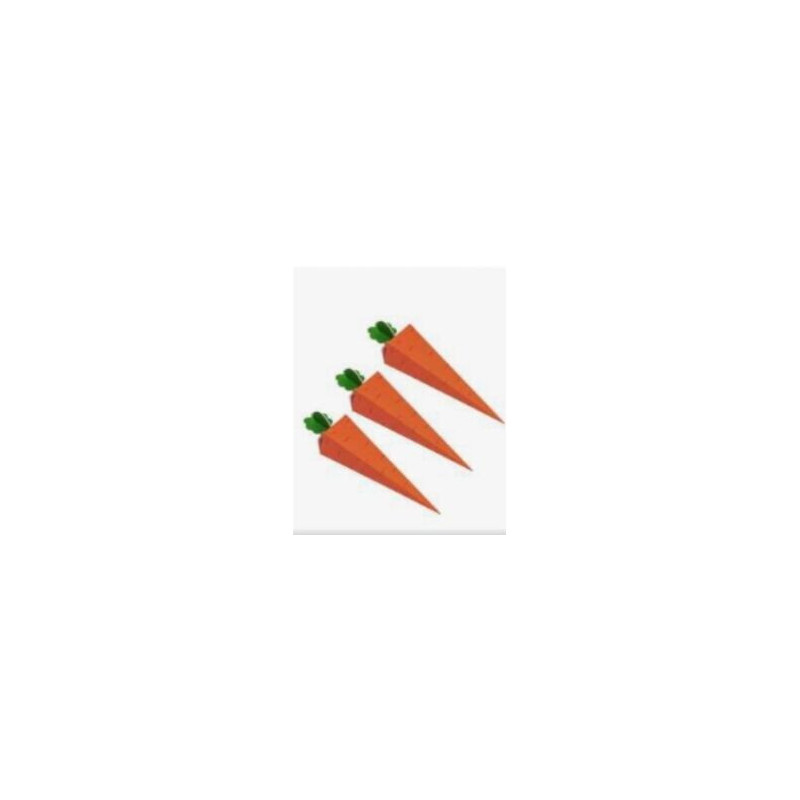 10 caixas cenoura