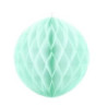 1 Honeycomb Menta 30cm