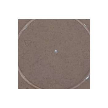 Pedaços de Biscoito Caramelizado