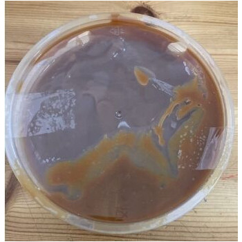 creme caramelo decor