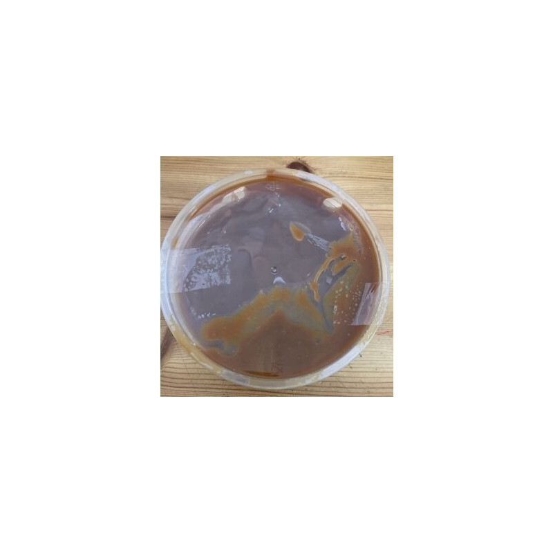 creme caramelo decor