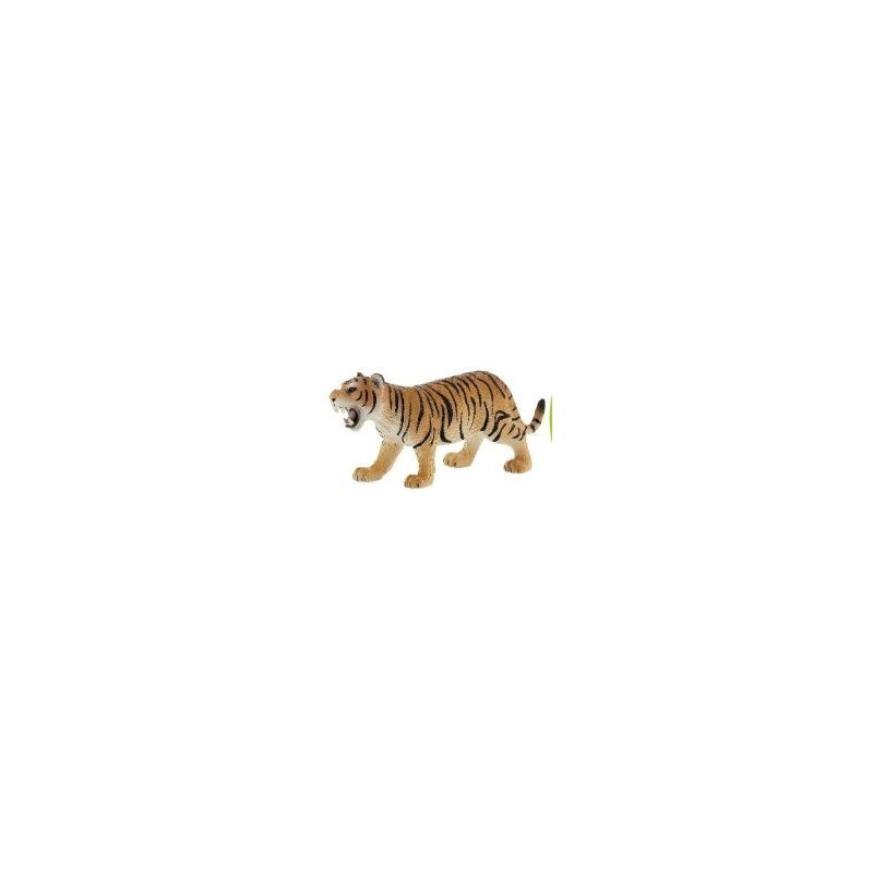Tigre