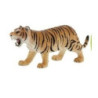 Tigre