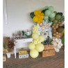 Decoração de Festa Safari