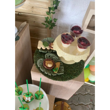 Decoração de Festa Safari