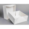 Caixa Cartolina 30x30