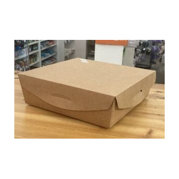 Cx de cartolina kraft com tampa 24x24x7,5cm