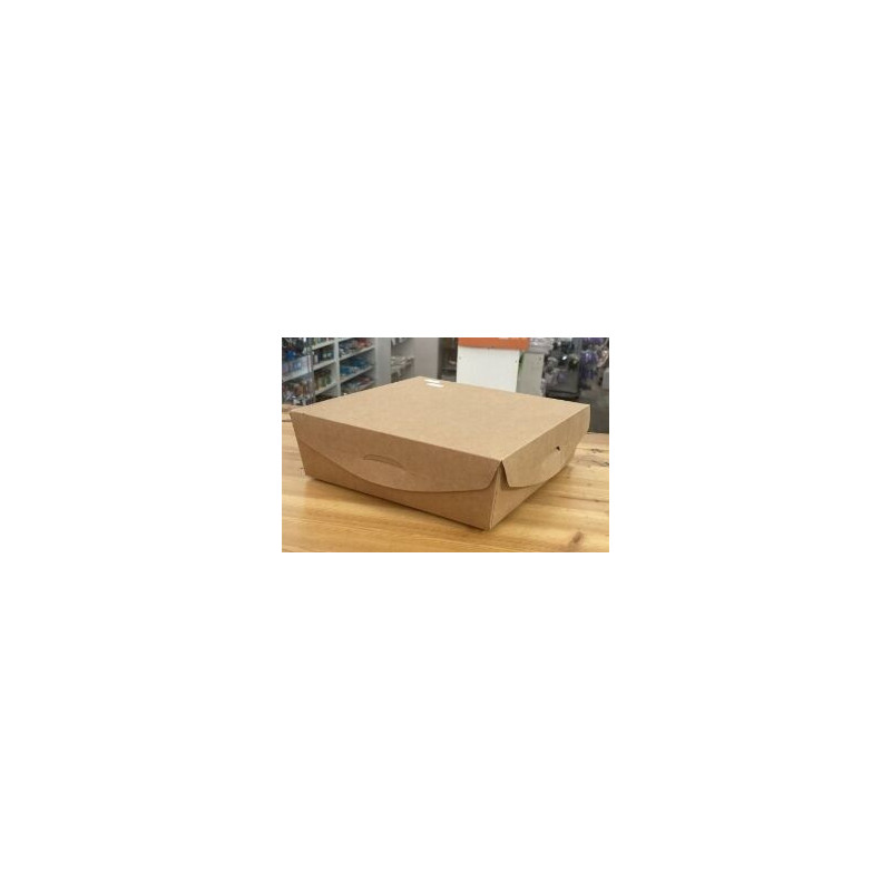 Cx de cartolina kraft com tampa 24x24x7,5cm