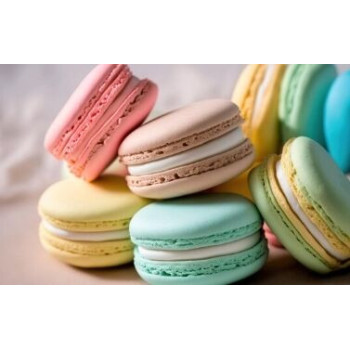 Macarons várias cores