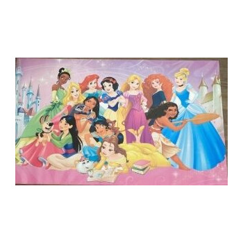 Aluguer de Painel Princesas Disney - Lona -70x110cm