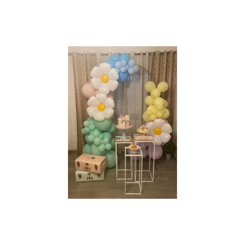 Decoração de Festa Malmequeres