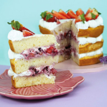 sponge cake 500gr