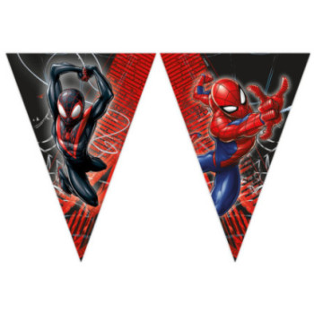 Bandeirinha Triangular Papel Homem Aranha World Of Web