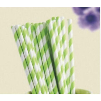 Palinhas Verde Flurescente 24 unidades 20cm