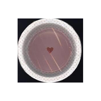 Pratos Rosa - Conj. 12