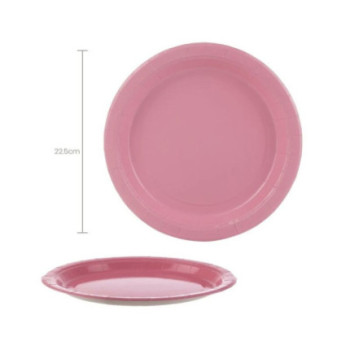 Pratos Lisos Rosa Grande 6 unidades