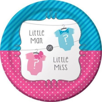 Pratos de Cartão menino ou menina