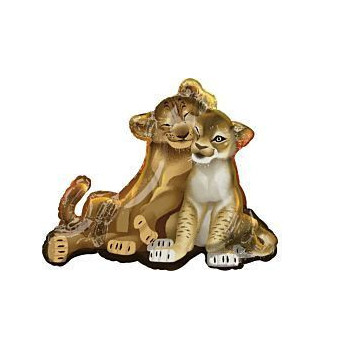 Super Shape Rei Leão