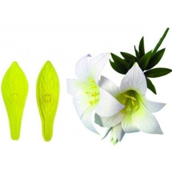 Jem St. Joseph's Lily & Star Gazer