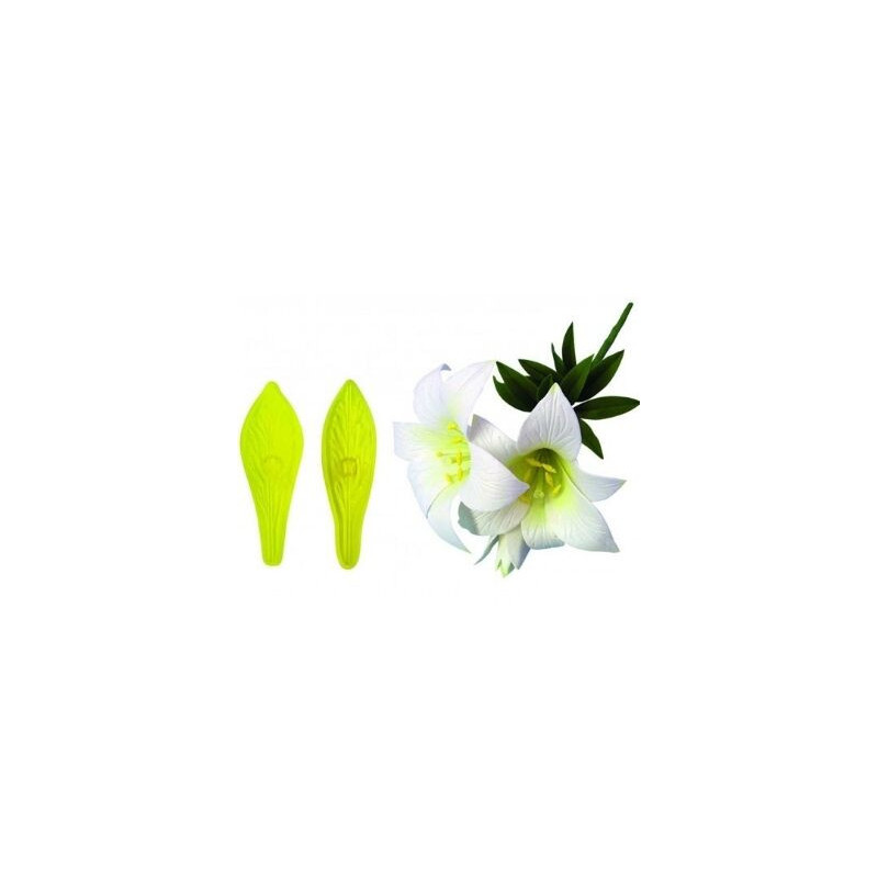 Jem St. Joseph's Lily & Star Gazer