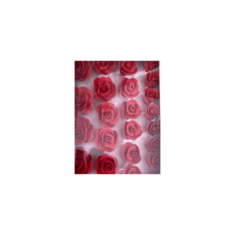 Rosa Açucar XL