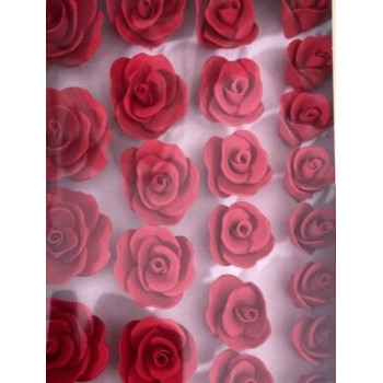 Rosa Açucar S