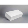 Caixa cartolina 17x44 cm