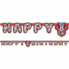 Grinalda Happy Birthday Add an Age Minnie