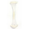 PME-50 Estames para flores branco pérola