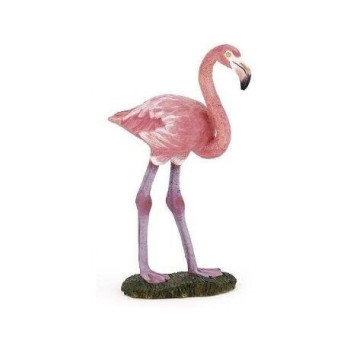 Flamingo Rosa