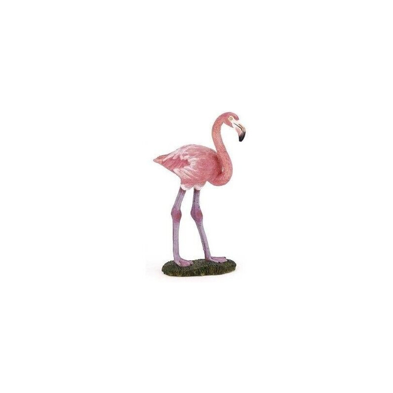 Flamingo Rosa