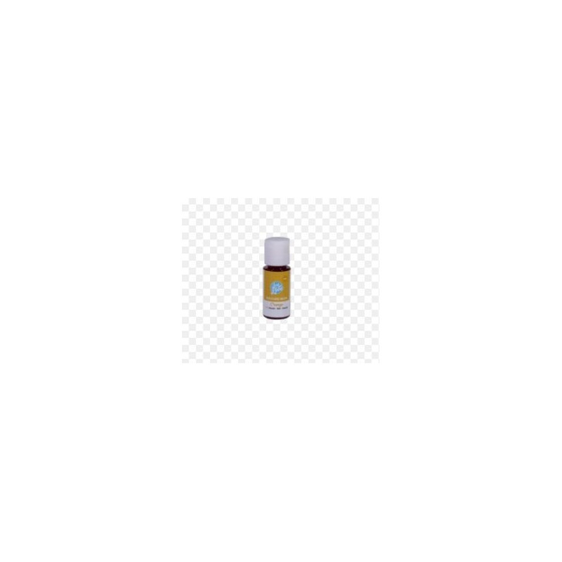 Colours Neon Orange  (laranja) 25ml