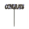 Congrats flashing decoration