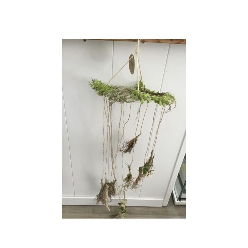 Flores Secas Coloridas 25cmx1.15cm