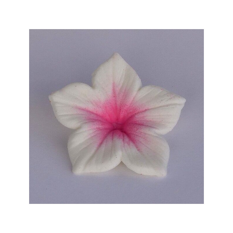 Colours Dust Fuchsia 7ml