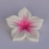 Colours Dust Fuchsia 7ml