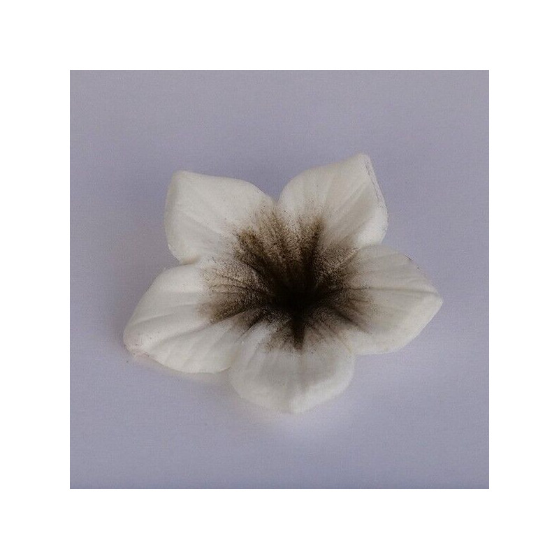 Colours Dust Brown (Castanho) 7ml