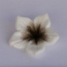 Colours Dust Brown (Castanho) 7ml