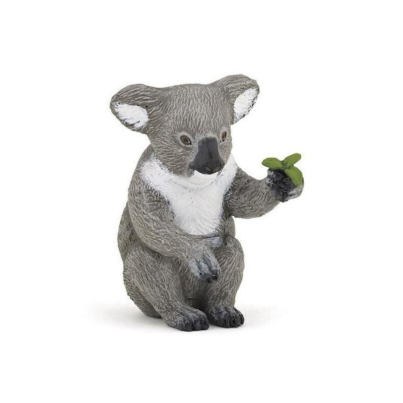 Coala