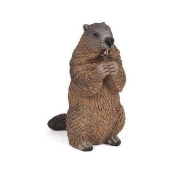 Marmota