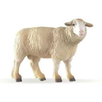 Ovelha Merino