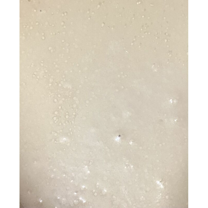 Caravella Gran Latte e Nocciola (leite e avelã) 500g