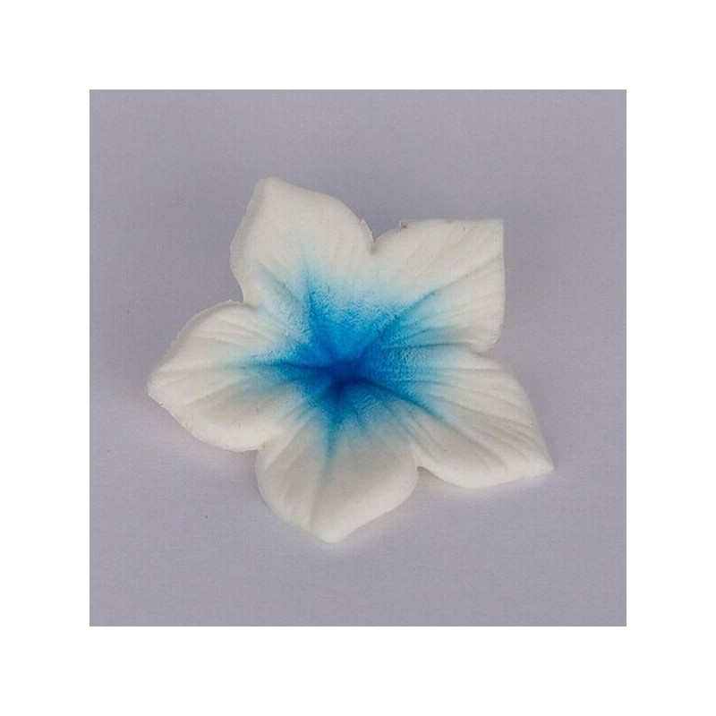 Colours Dust Blue (azul) 7ml