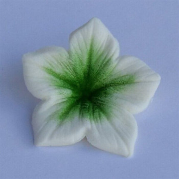 Coulours dust Green (verde) 7 ml