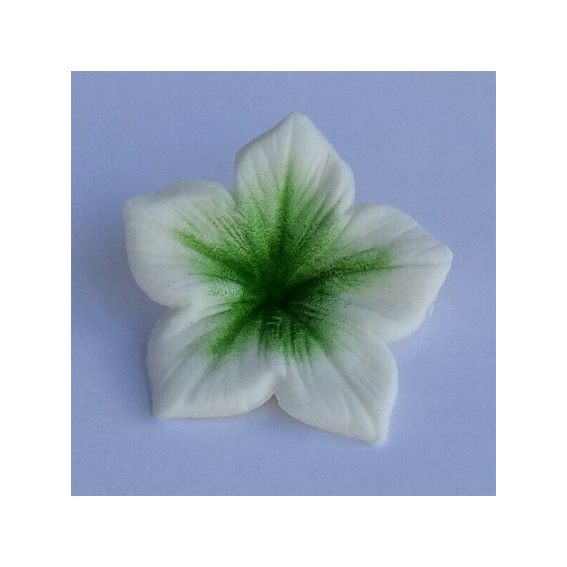 Coulours dust Green (verde) 7 ml