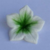 Coulours dust Green (verde) 7 ml
