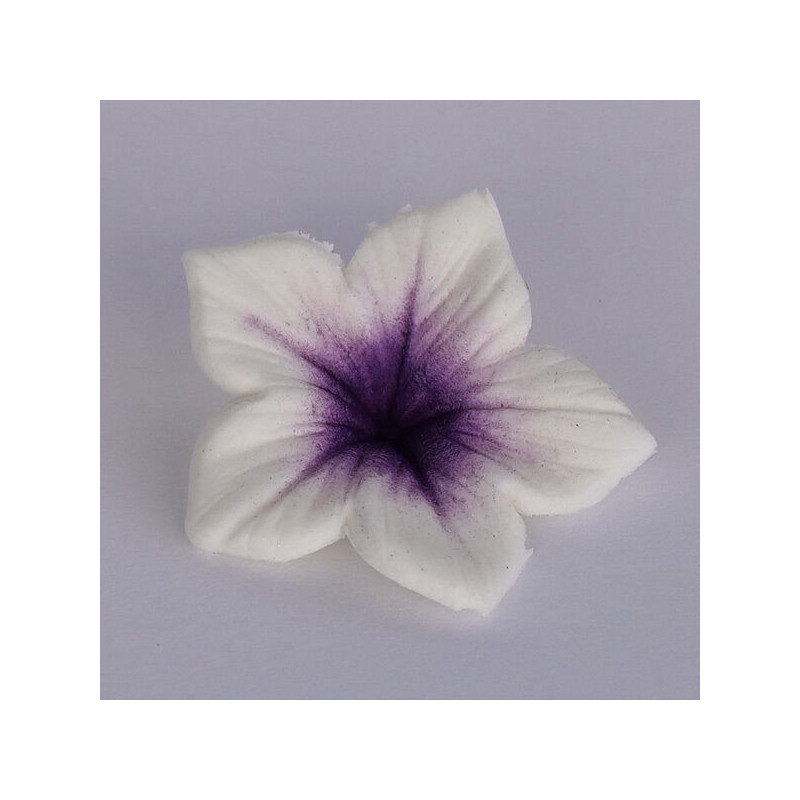 Colours Dust violet ( violeta ) 7ml