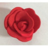 Rosa açucar vermelha