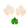 Molde de silicone - Folhas